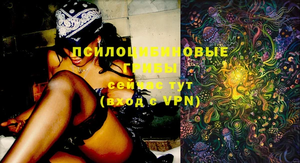 а пвп мука Верхний Тагил
