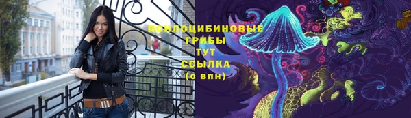 герыч Бронницы