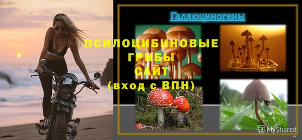 а пвп мука Верхний Тагил