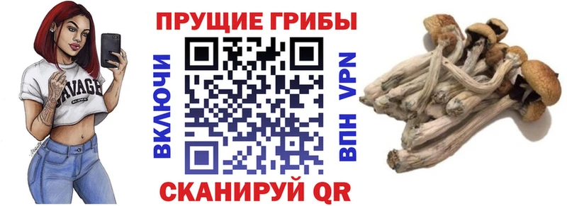 Псилоцибиновые грибы ЛСД  Ишим 